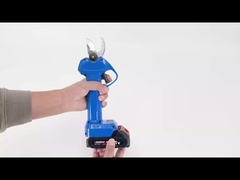 Pruner Auston AES20-3