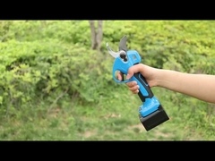 Pruner AUSTON AES30-3