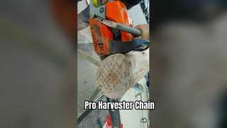 Corrente de serra Pro Harvester Qualidade UE EUA